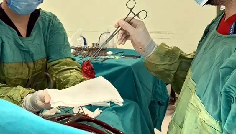Kalp Kapağındaki Çürümeye Karşı Verilen 7 Saatlik Mücadele