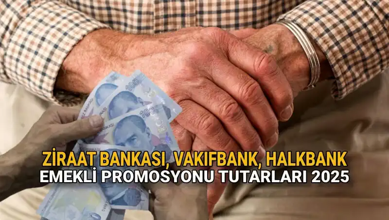 2025'te Kamu Bankalarının Emeklilere Sundukları Promosyonlar Açıklandı