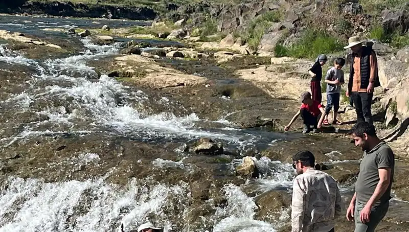 İnci Kefali Göçü: Doğanın Mucizesi, Turistlerin Akın Akın Geldiği Bir Etkinlik