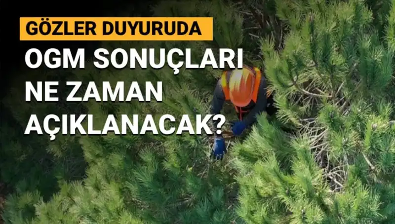 OGM Personel Alımı Sonuçları Açıklanıyor: 3.477 Yeni İstihdam Fırsatı!