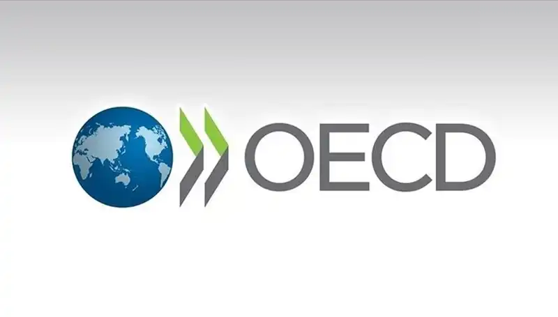 OECD, Türkiye’nin 2023 Büyüme Tahminini Yükseltti: Yeni Beklentiler Neler?