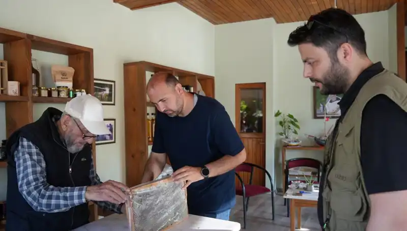 Hem Şifa Hem Zehir: Doktor Tavsiyesi ile Dikkat Edilmesi Gereken Besin