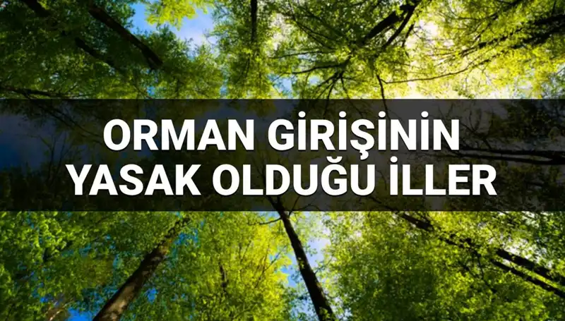 2025'te Ormana Girmesi Yasaklanan İller Hangileri Olacak?
