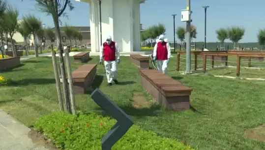 Kene Görülme Sıklığı Artıyor: Halka Açık Yerlerde İlaçlama Başladı