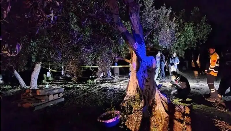 Çiftlikteki Baltalı Vahşete Bağlı İlk Tutuklama Gerçekleşti!