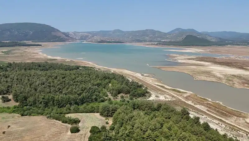 İzmir'de Tehlike Çanları: Geçen Yıla Göre %50 Düşüş, Ne Anlama Geliyor?