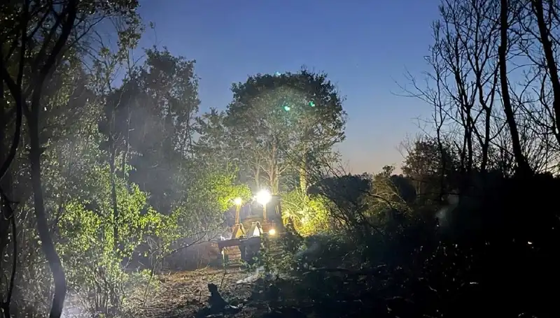 Edirne’de Yangın Tehlikesi Geçti, Ormanlar Yeniden Güvende