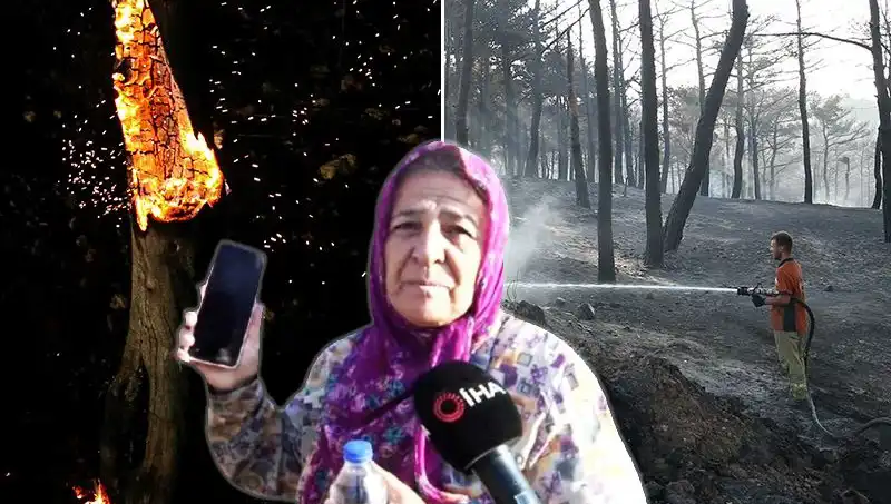 Çanakkale’deki Orman Yangınları Kontrol Altına Alındı, Ama Kayıplar Sürüyor