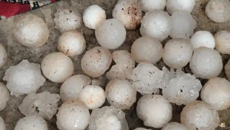 Şanlıurfa'da Kar Topu Gibi Dolu Yağışı Hayatı Etkiledi