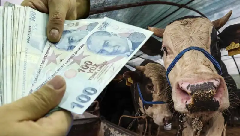 Kurban Bayramı Öncesi Maaşlar Ne Zaman Yatacak? Tüm Detaylar!