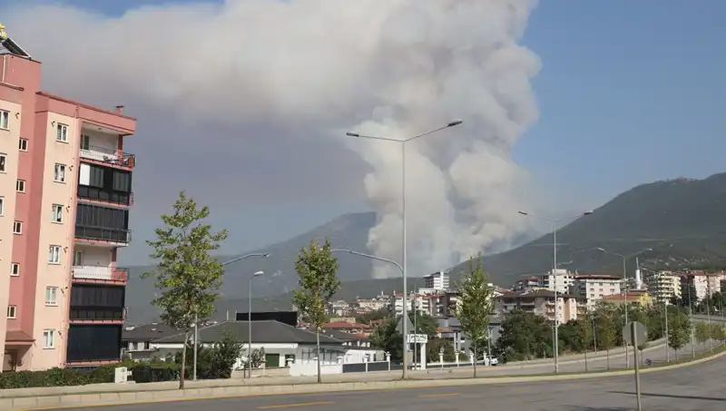 Denizli’nin Ormanlarında Yangın Korkusu: Bir Şüpheli Gözaltında