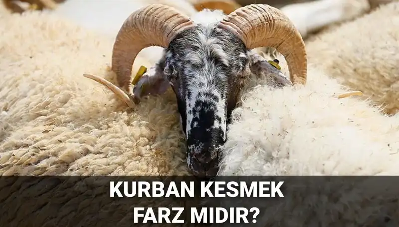 Kurban Kesmek Farz mı? Diyanet Görüşü ve Şartları Nelerdir?