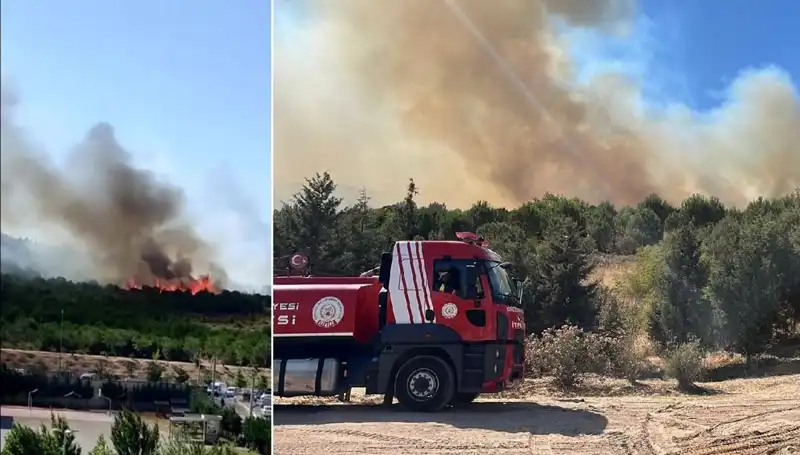 Gebze’de Orman Yangını Kontrol Altına Alındı: Yangının Nedeni Ne?
